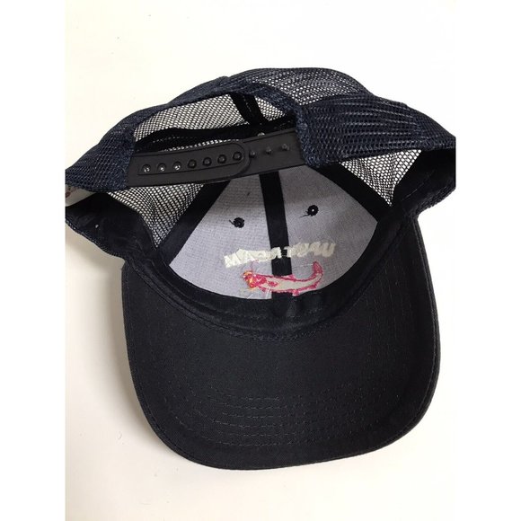 Upstream Music Fest Hat PNW Seattle Festival Blue Fish Bands Snapback Hat - Picture 5 of 6